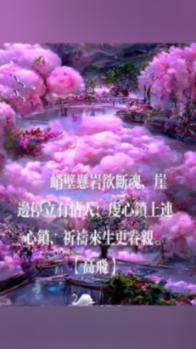 全民烧脑3去广告版